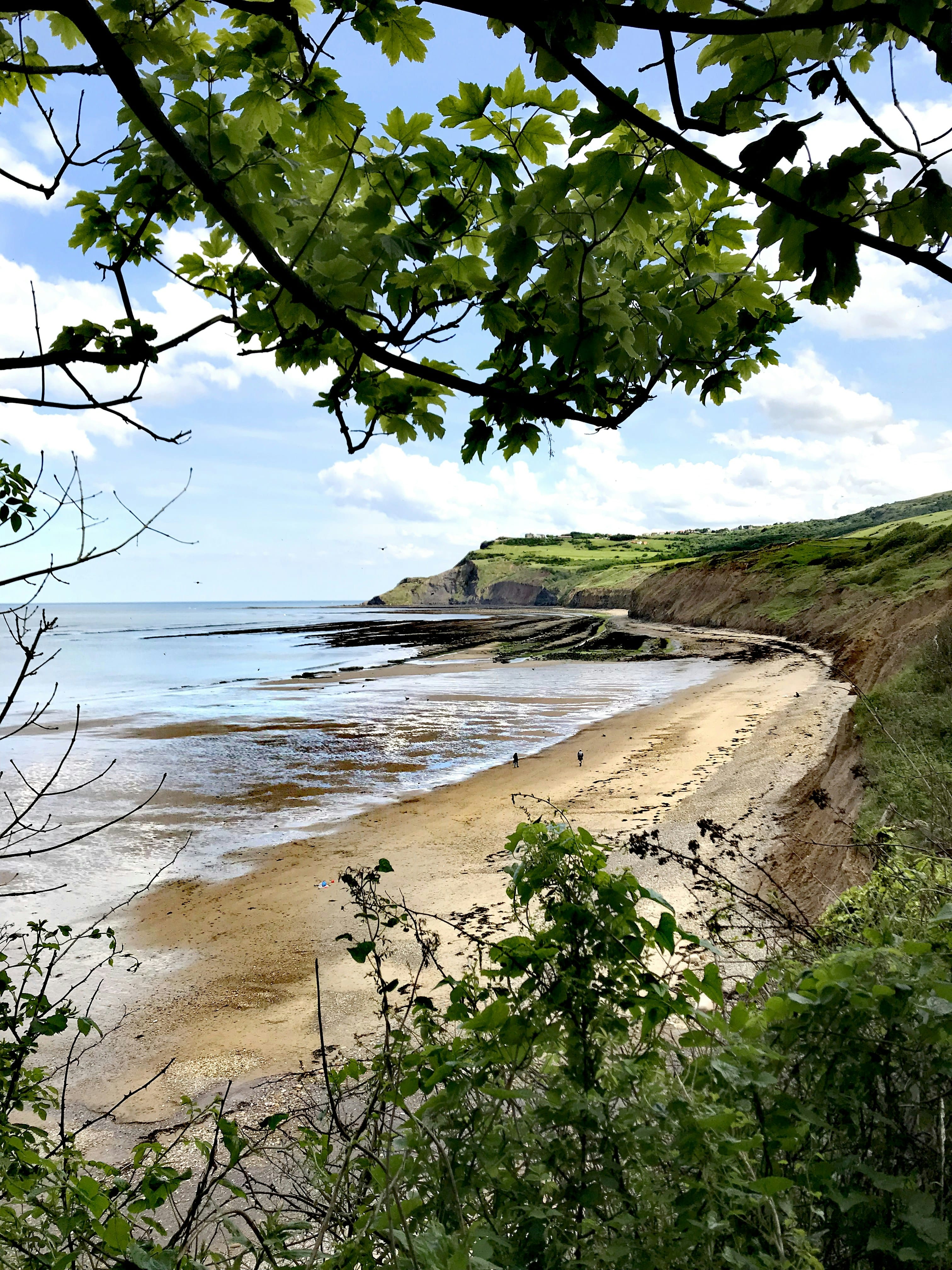 Robin Hood's Bay coastline near Whitby